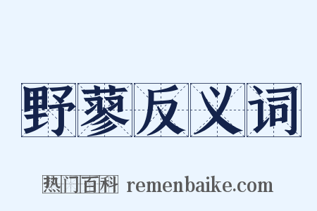 野蓼反义词是什么意思的图片